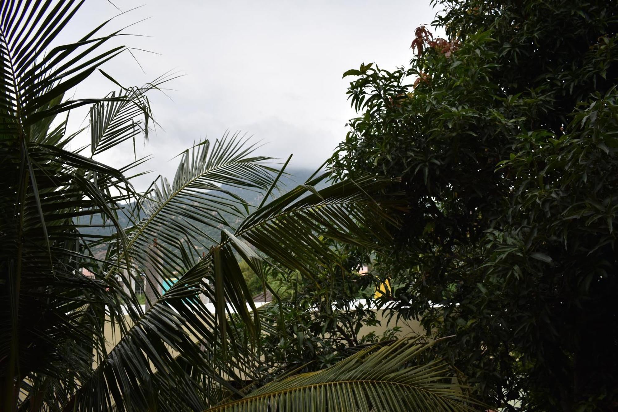 Rainbow Guest House Tiruvannāmalai Buitenkant foto