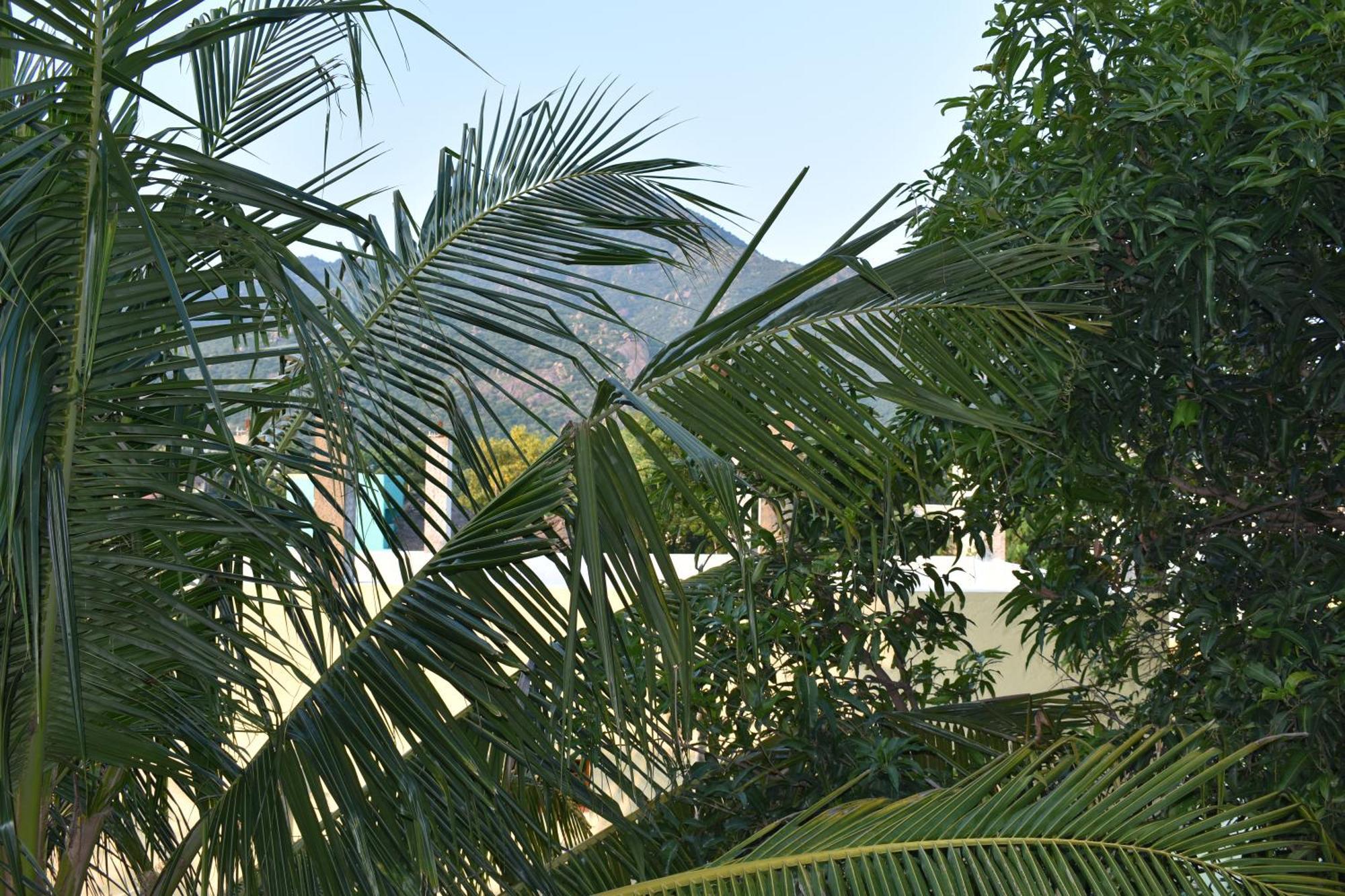 Rainbow Guest House Tiruvannāmalai Buitenkant foto